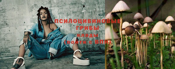 ПСИЛОЦИБИНОВЫЕ ГРИБЫ Ростов