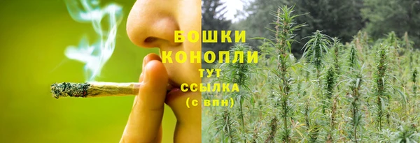 ПСИЛОЦИБИНОВЫЕ ГРИБЫ Ростов